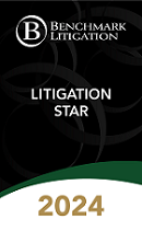 Litigation Star 2024