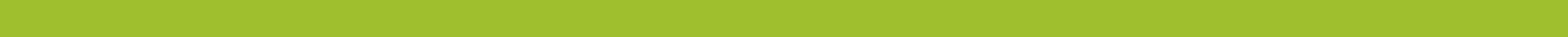 Gray placeholder slide with thin horizontal green line across center.